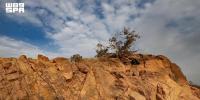 Taif’s Mountain Trails Offer Hikers Scenic Routes and Cultural Discoveries